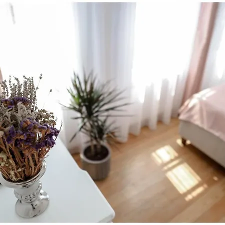 Ali Baris Hotel