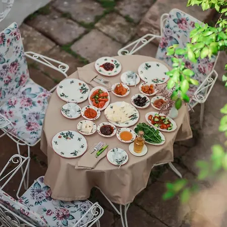 Ali Baris Ayvalı
